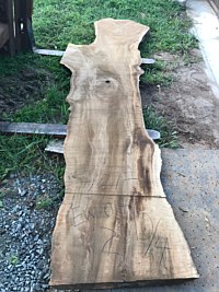 English Walnut